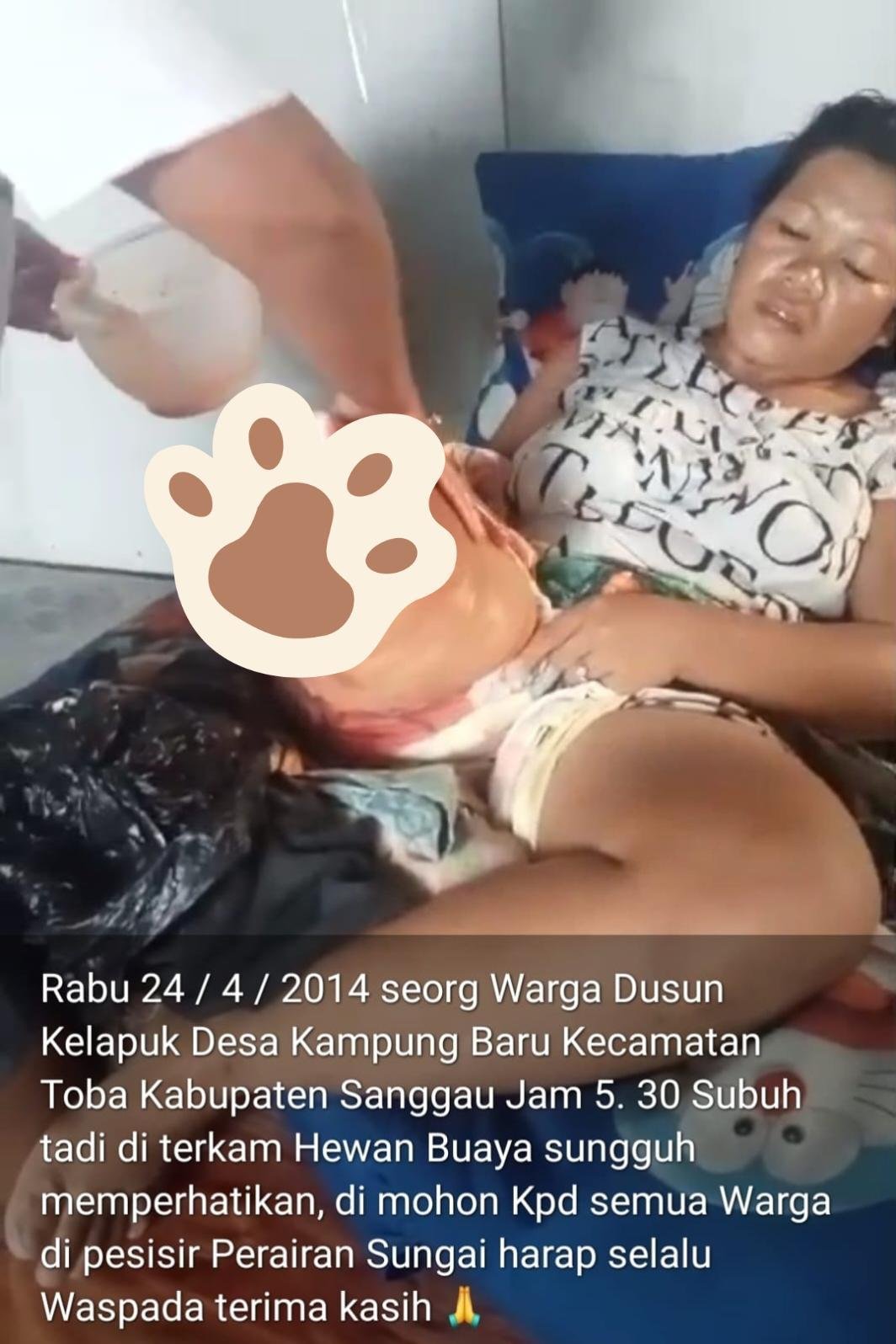 Warga Dusun Kelapuk Desa Kampung Baru Kecamatan Toba kena kangus Buaya