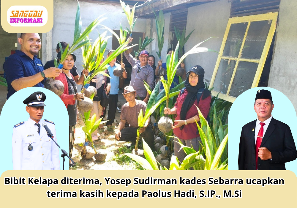Bibit Kelapa diterima, Yosep Sudirman kades Sebarra ucapkan terima kasih kepada Paolus Hadi, S.IP., M.Si